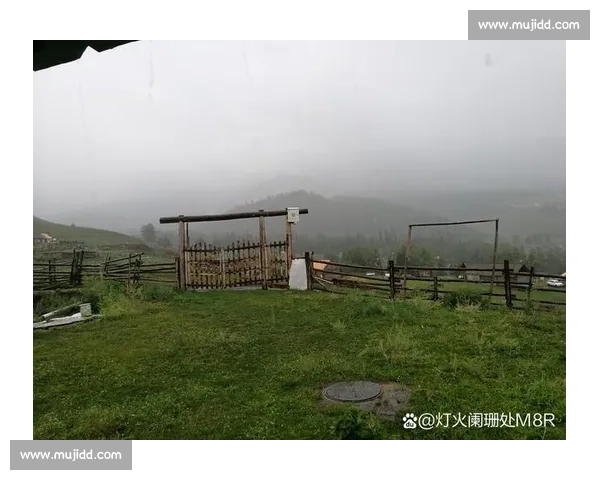 5000 元篮球课值不值?家长吐槽背后的行业乱象与价值反思 5000 元篮球课值不值?家长吐槽背后的行业乱象与价值反思